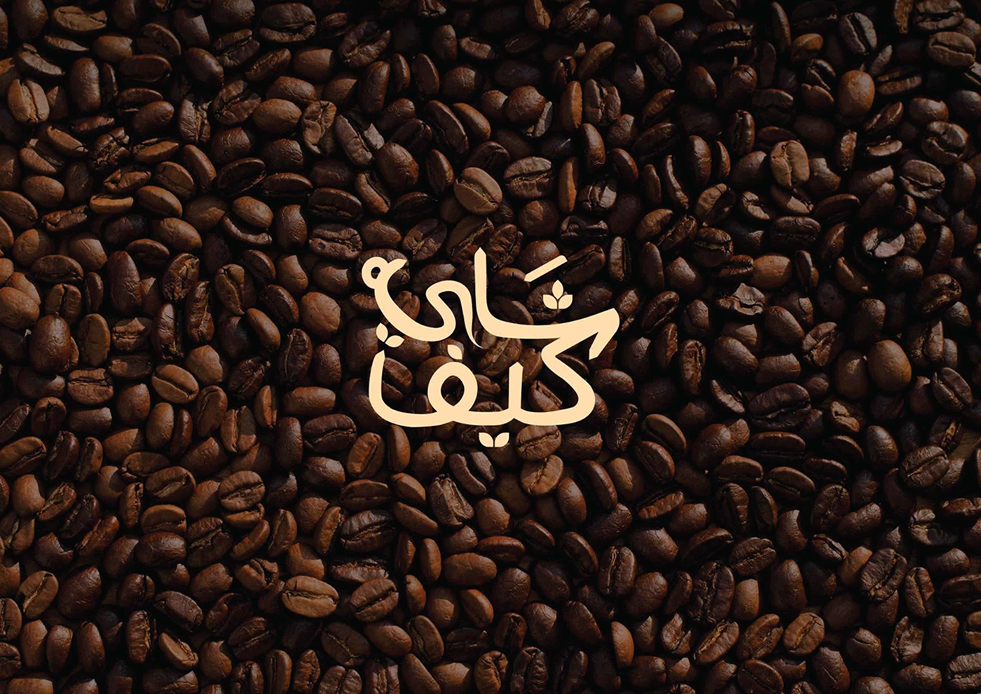 CHAI KAIF gallery 1