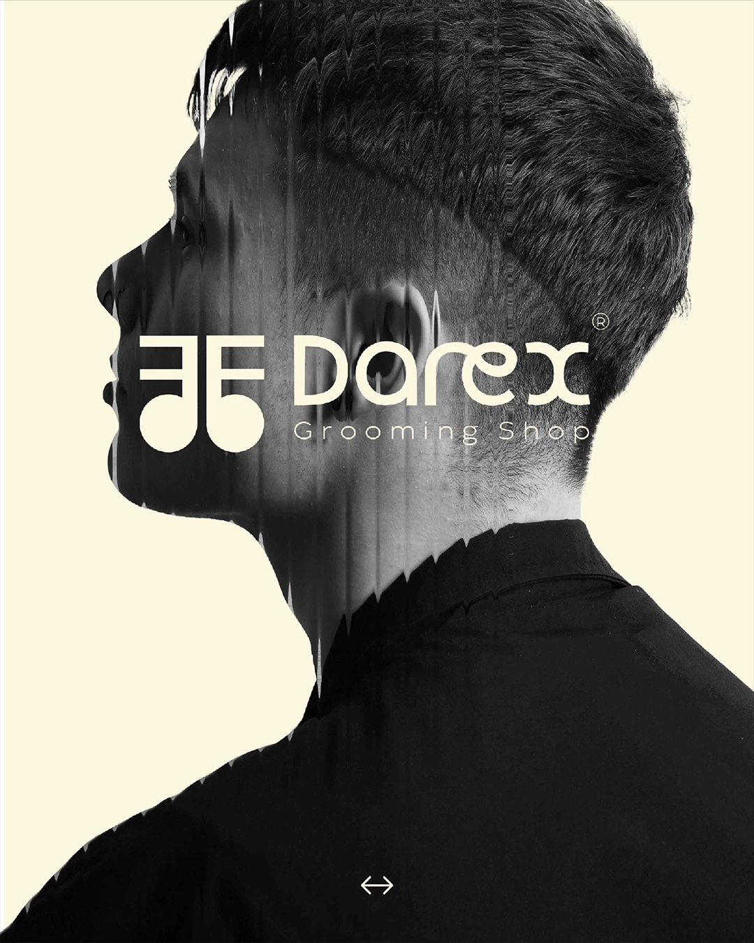 DAREX gallery 2