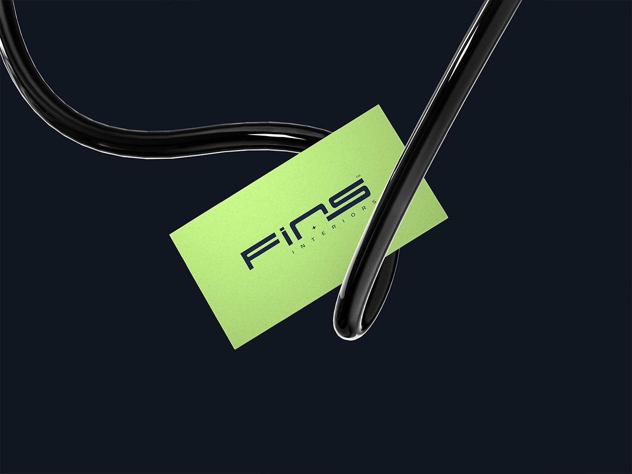 Fins