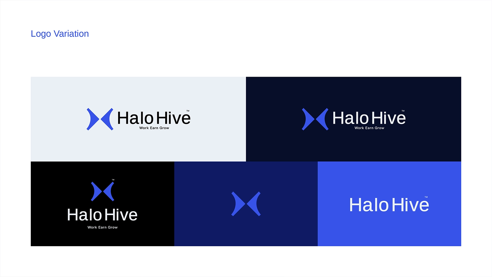 HALO HIVE gallery 12