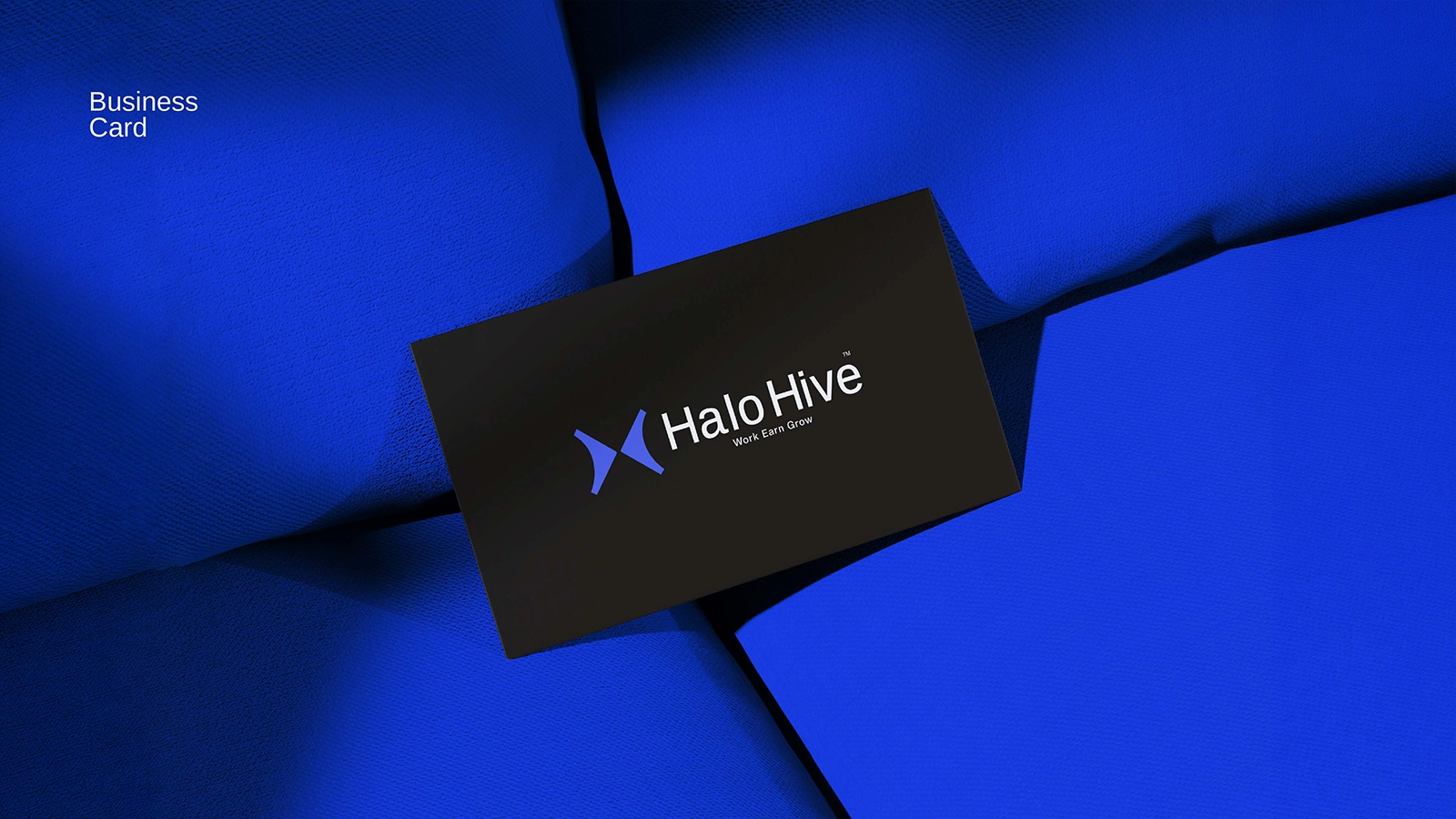 HALO HIVE gallery 23