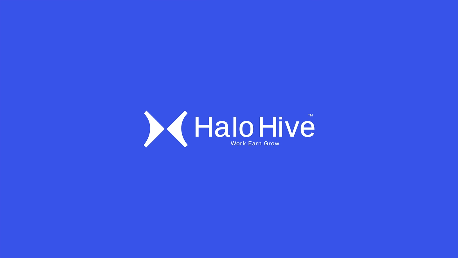 HALO HIVE gallery 6