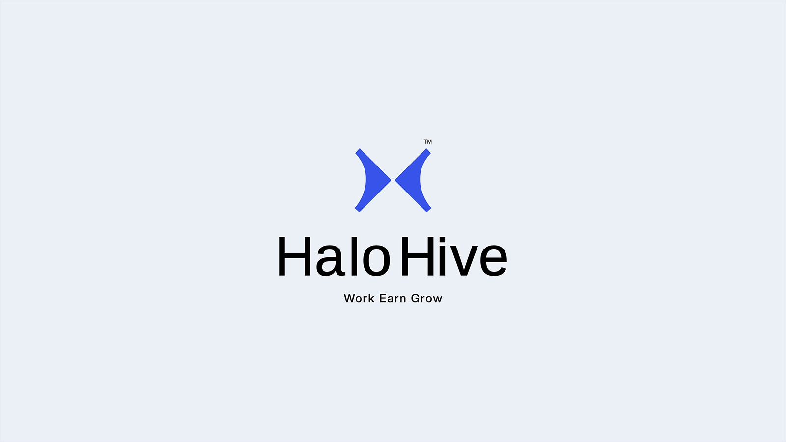 HALO HIVE gallery 8