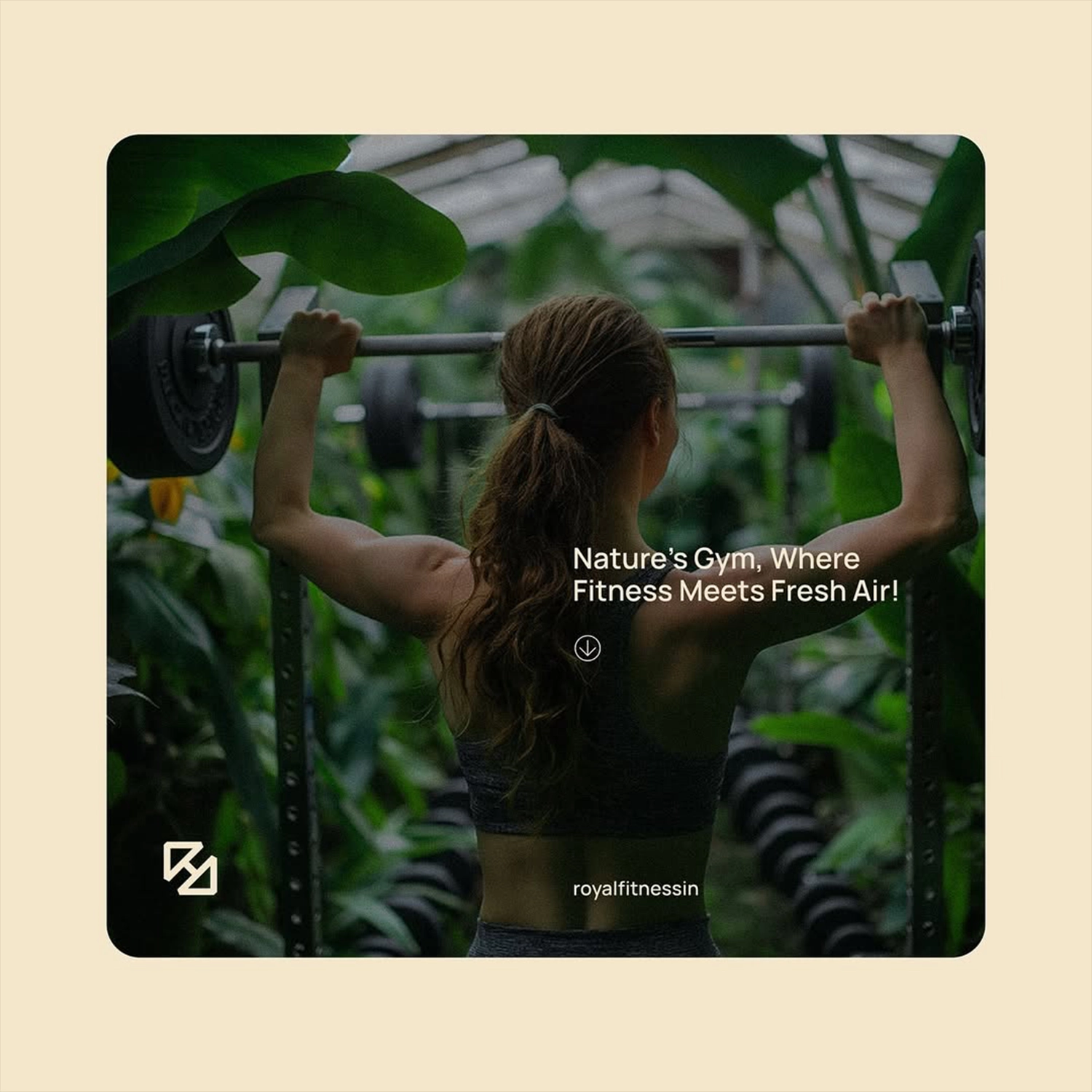 ROYAL FITNESS gallery 5