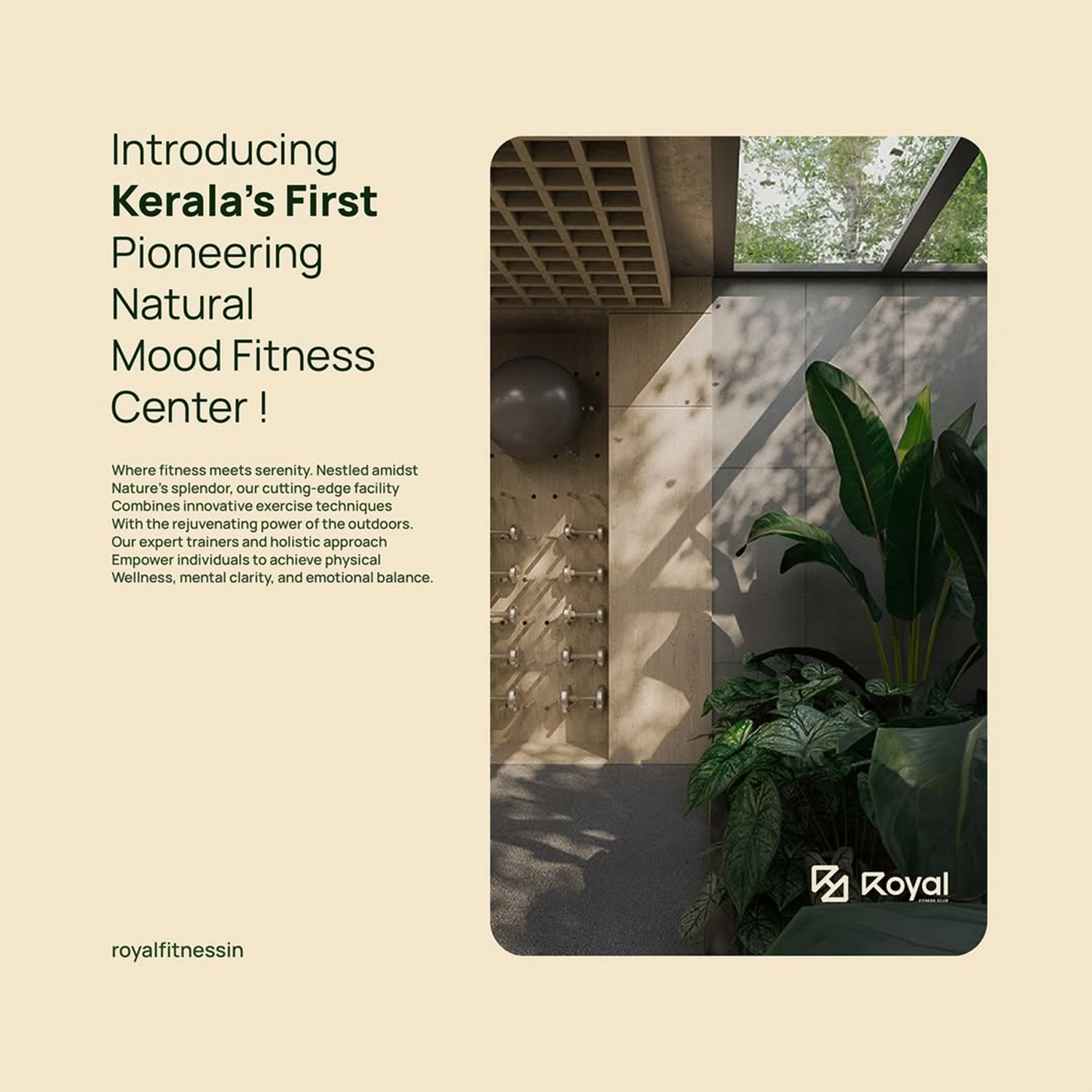 ROYAL FITNESS gallery 6