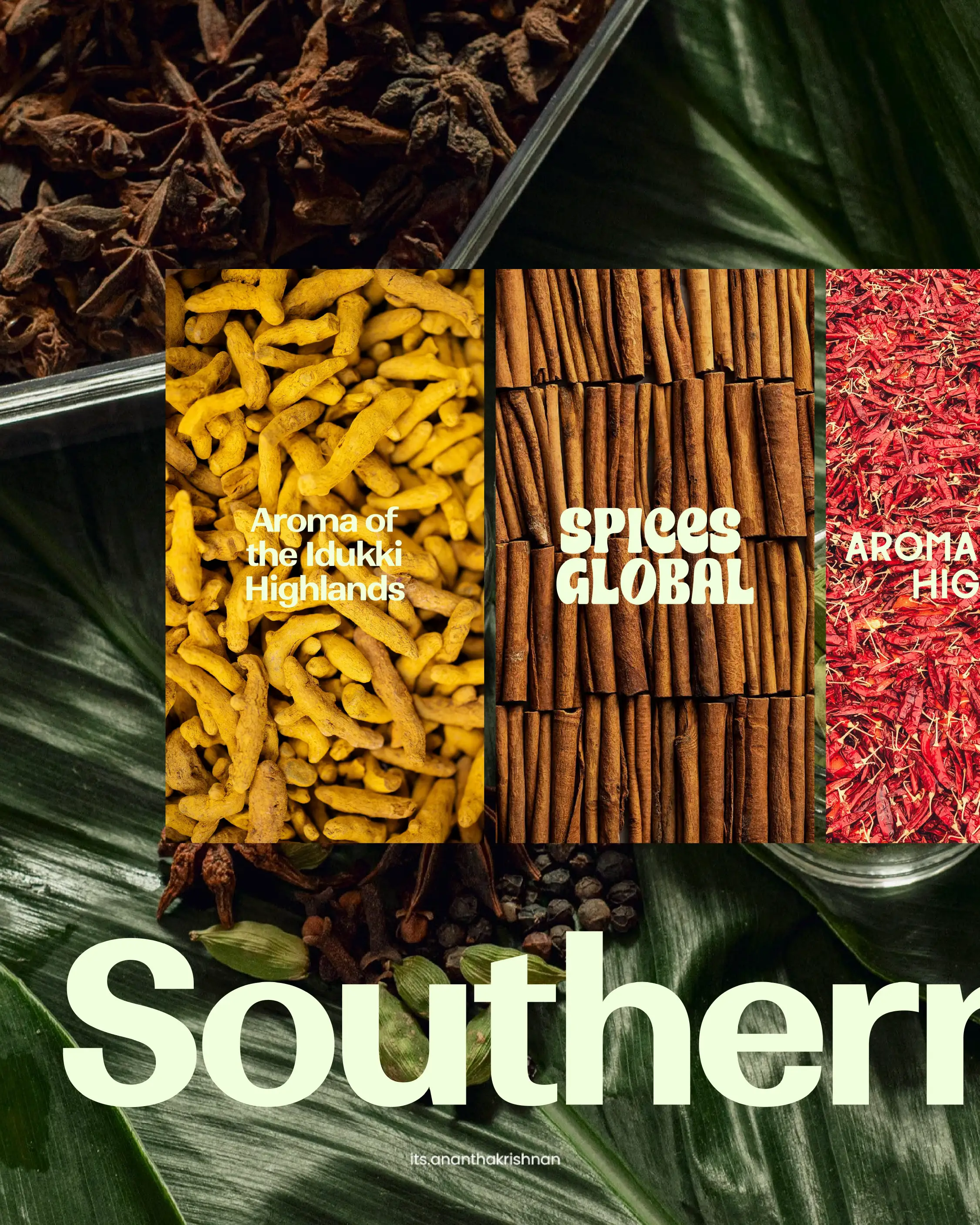 SPICES GLOBAL gallery 8