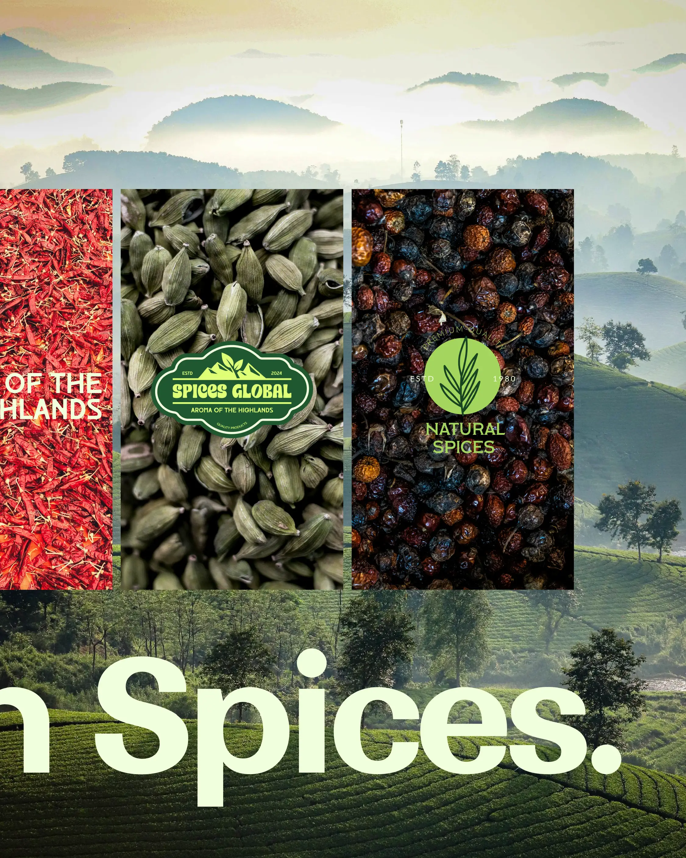 SPICES GLOBAL gallery 9