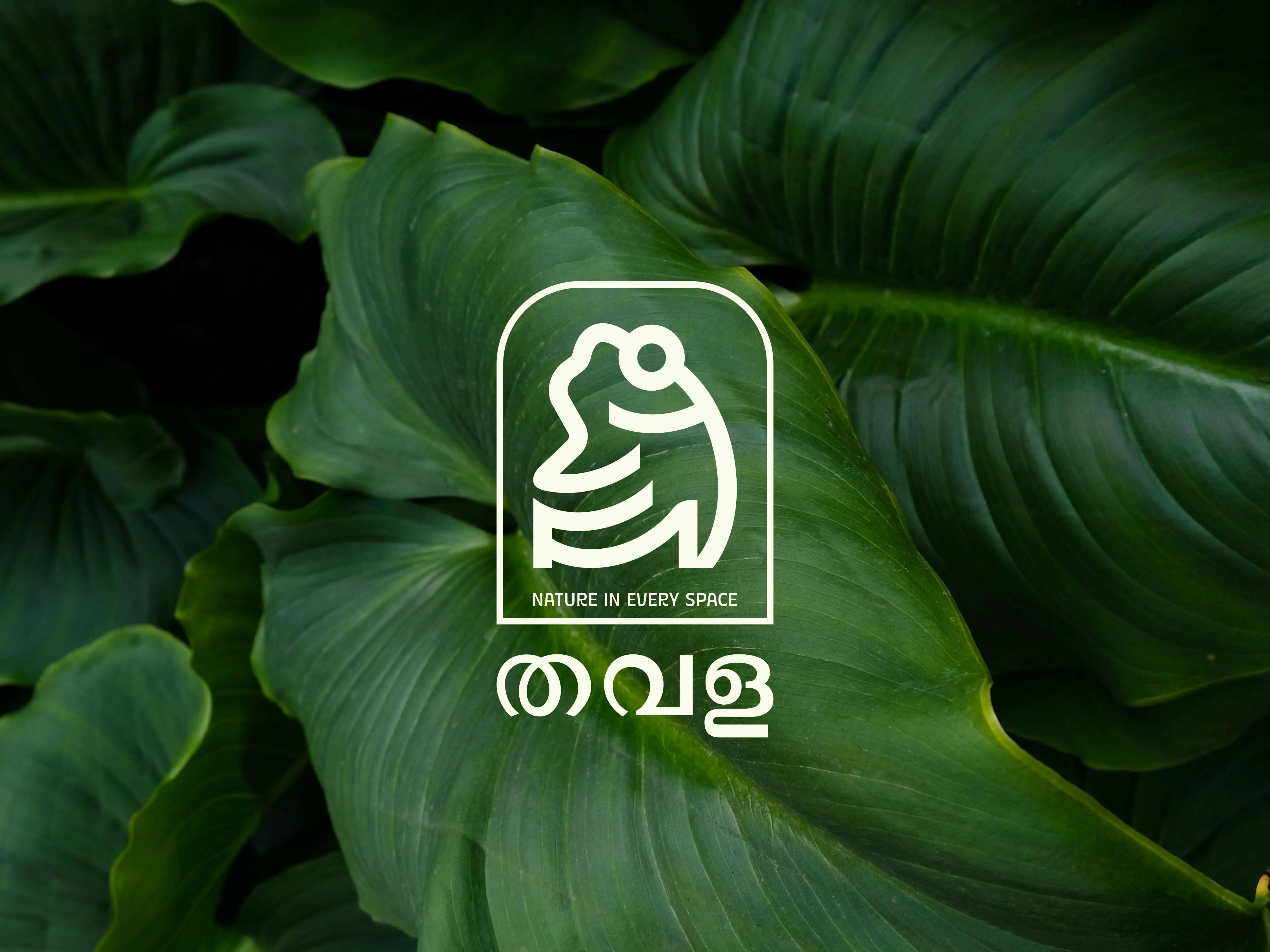 Thavala