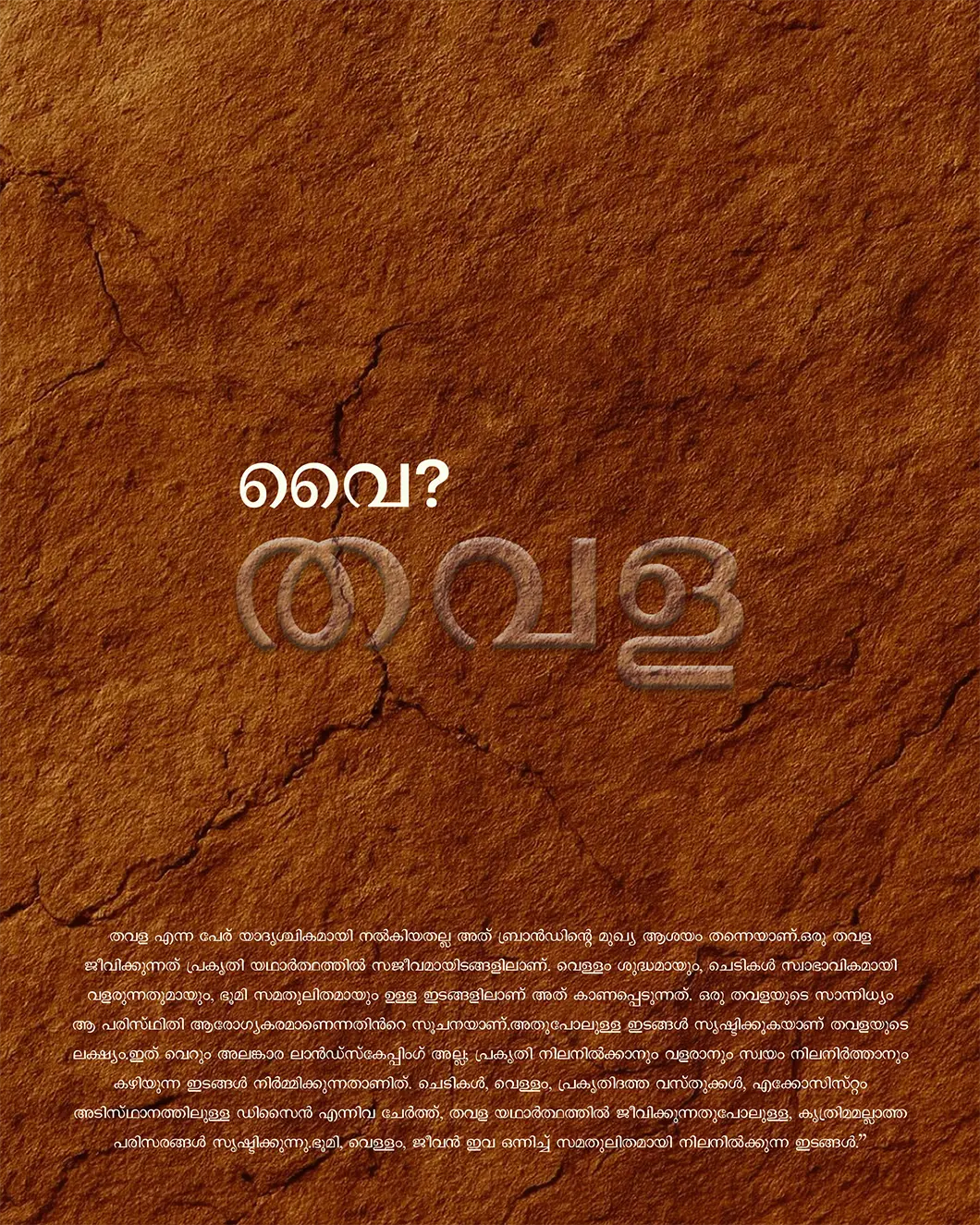 THAVALA gallery 4