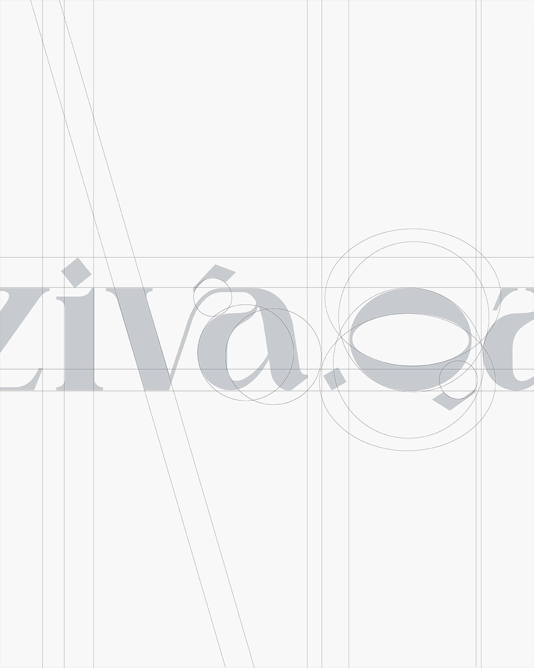 ZIVA QA gallery 3