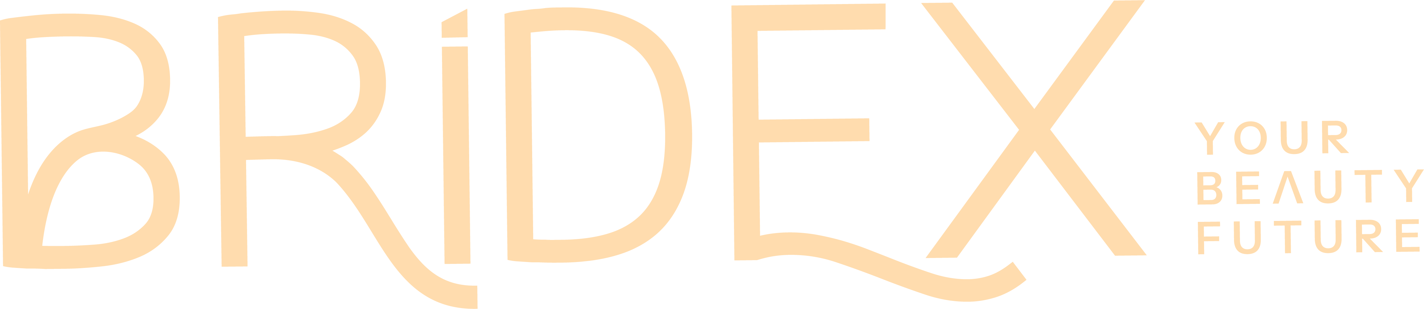 500Asset 1yy