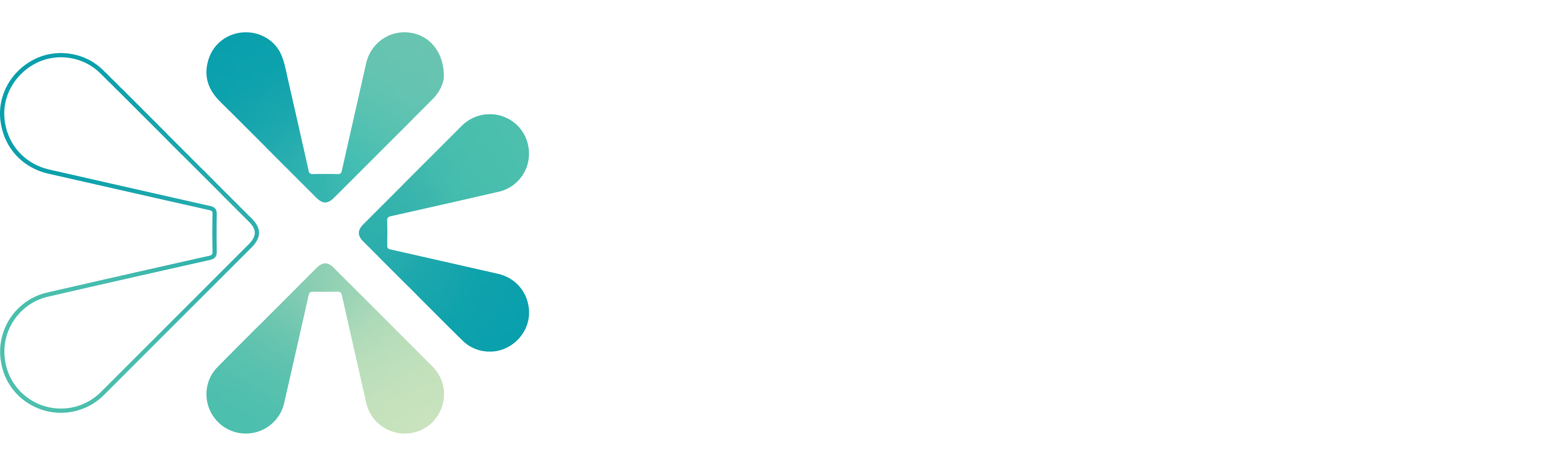 Asset 17