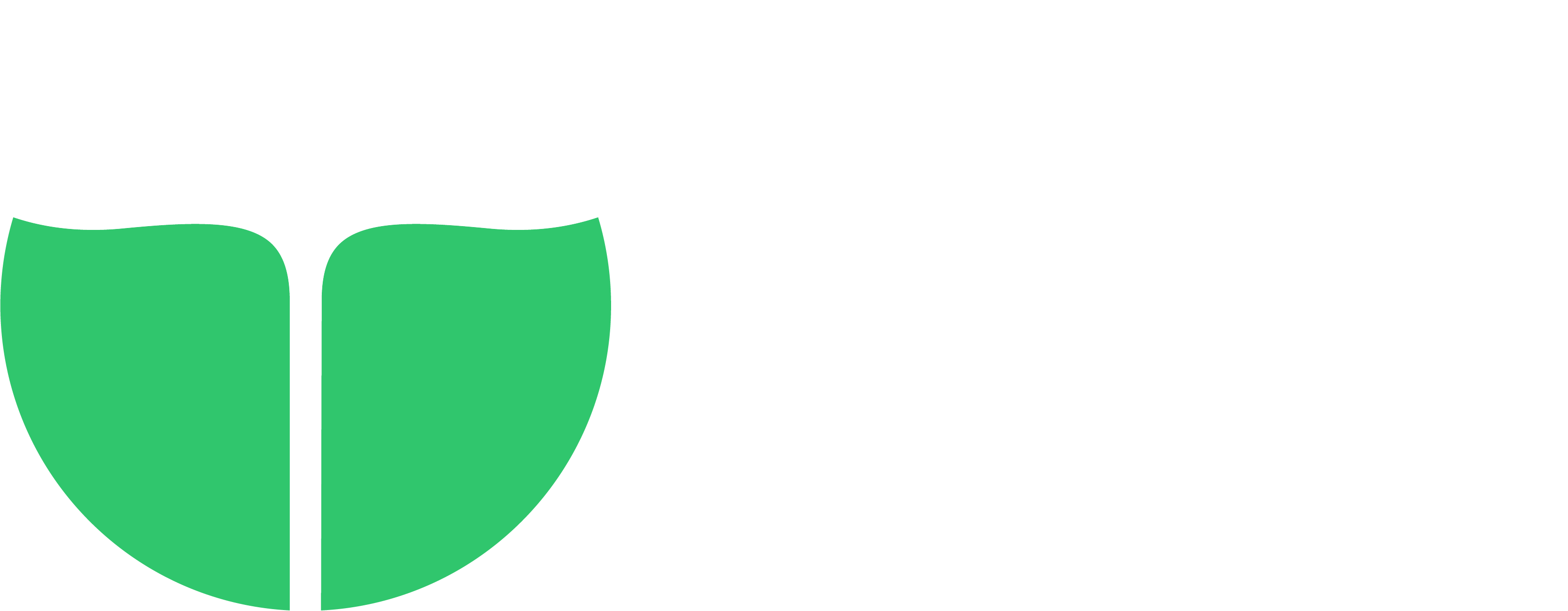 Asset 41
